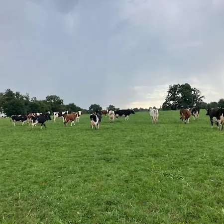 Maison A La Ferme Grenetemy * Lavernat