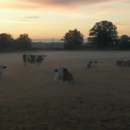 Maison à La Ferme Grenetemy * Lavernat