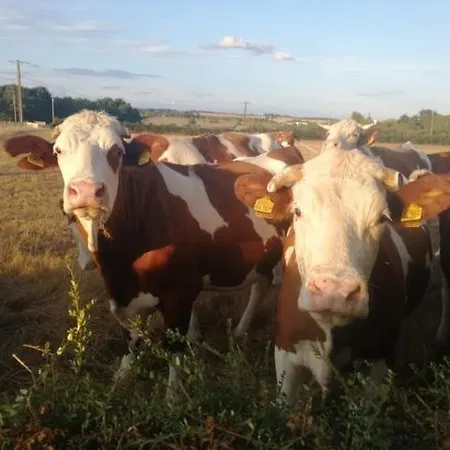 Maison A La Ferme Grenetemy
