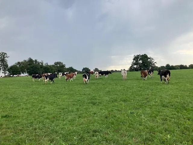 Maison A La Ferme Grenetemy * Lavernat