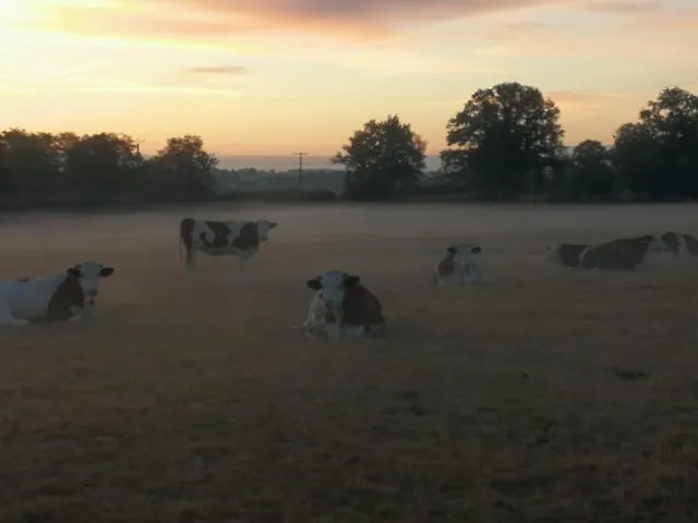 Maison A La Ferme Grenetemy * Lavernat