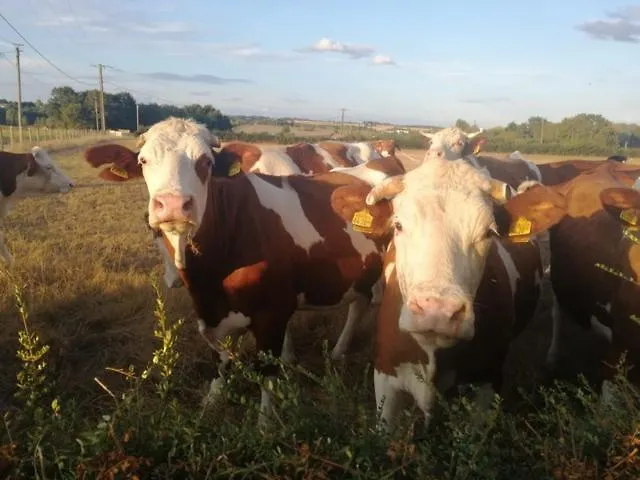 Maison A La Ferme Grenetemy